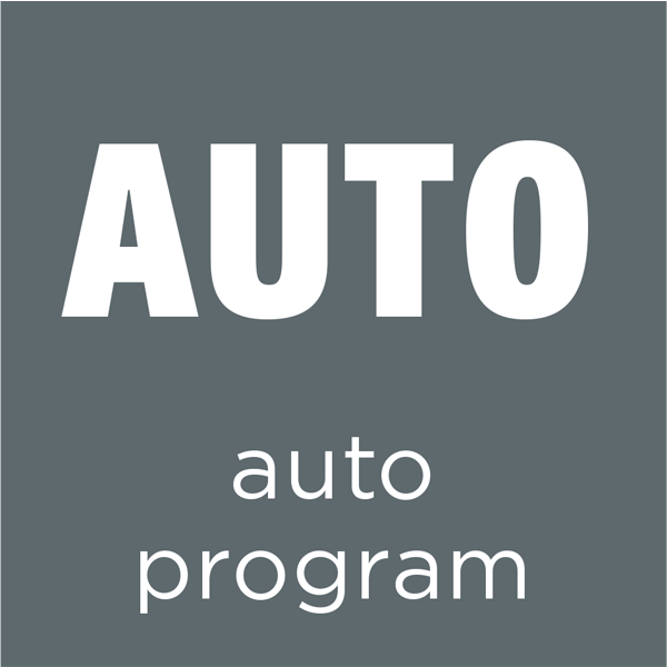 Auto program