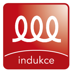 Indukce