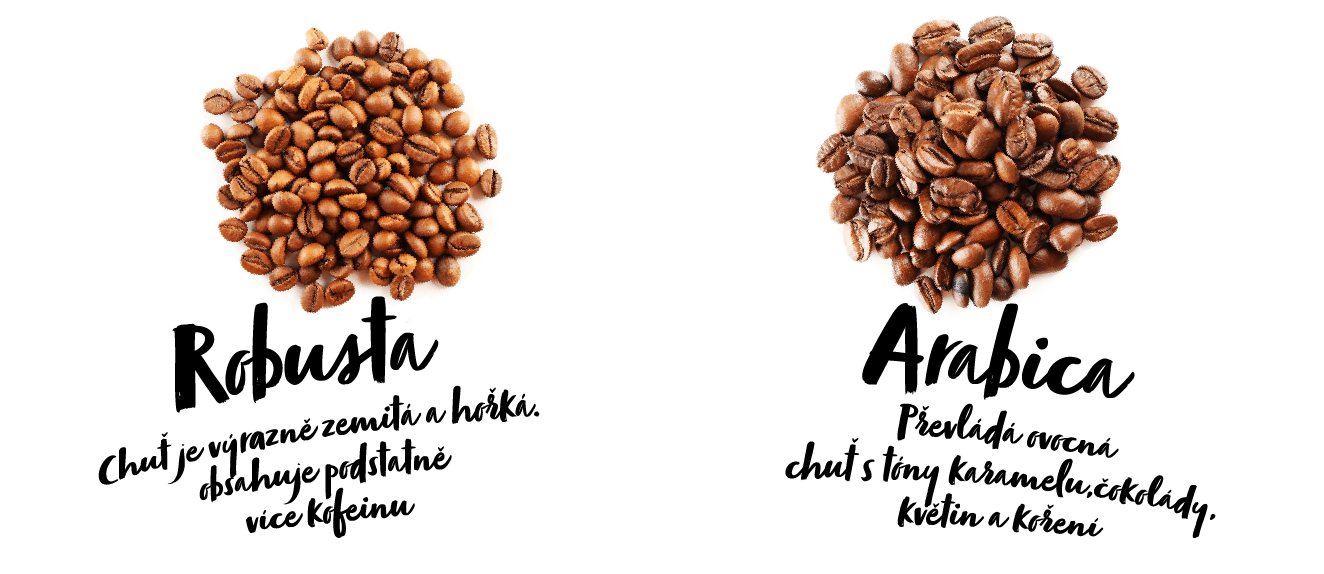 Arabica a robusta