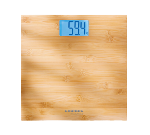 Grundig PS 4110 (PS4110.png)