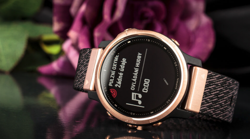 Garmin fenix6S PRO Sapphire - rosegold/black (garmin.png)