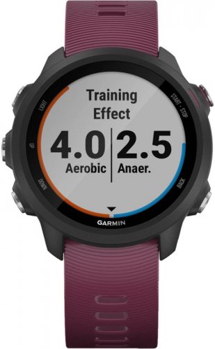 Garmin Forerunner 245 Optic vínové (Forerunner_245_Optic_1.jpg)