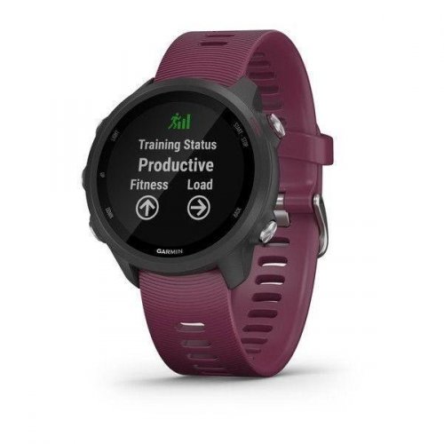 Garmin Forerunner 245 Optic vínové (Forerunner_245_Optic_2.jpg)